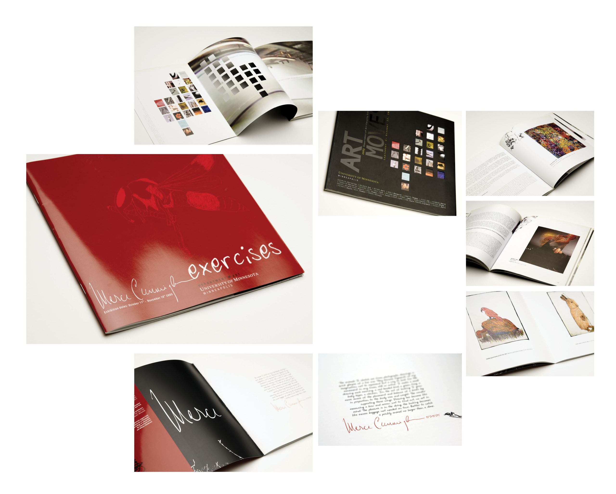 publication design for university of minnesota